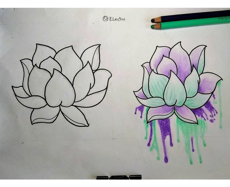 Como Dibujar Una Flor De Loto Paso A Paso La flor de loto es una de las